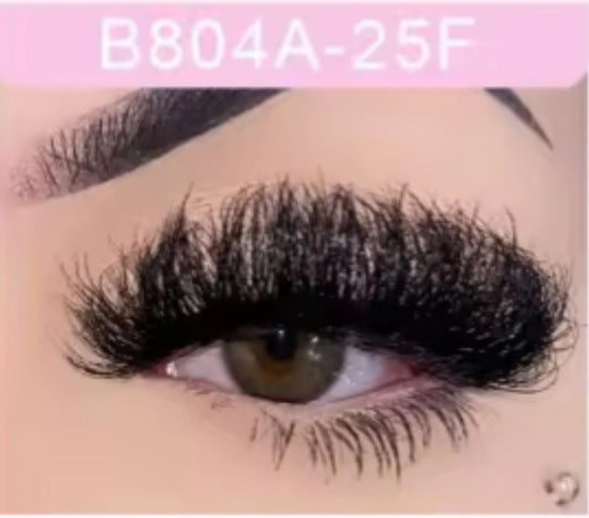 Kattpears Lashes B804A-25F
